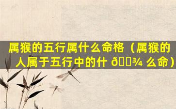 属猴的五行属什么命格（属猴的人属于五行中的什 🌾 么命）